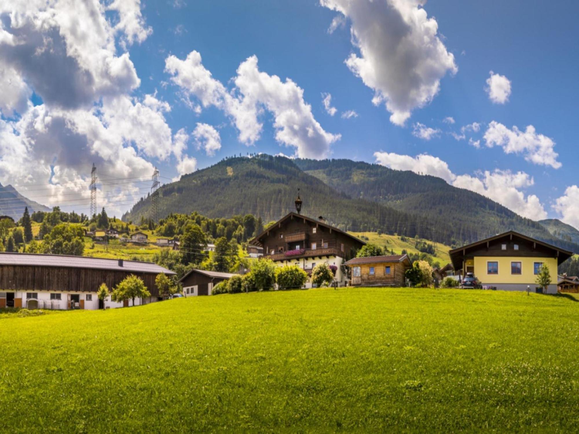 Holiday Home Erlachhof By Interhome ニーダーンジル エクステリア 写真